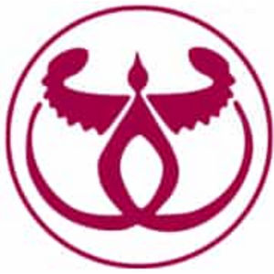 Bank of Papua New Guinea logo