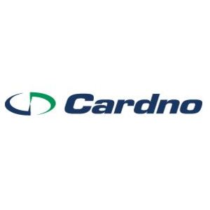 Cardno Emerging Markets PNG Ltd logo