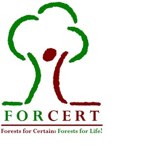 FORCERT Ltd logo