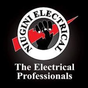 Niugini Electrical Co. Ltd logo
