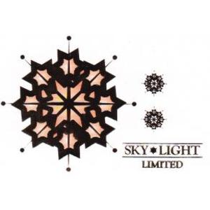 Skylight Limited logo