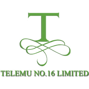 Telemu No.16 Limited logo