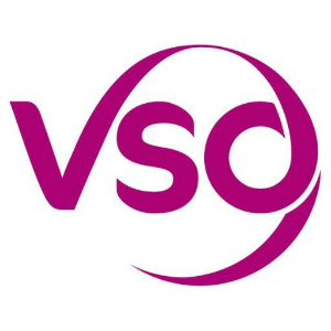 VSO International logo
