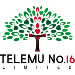 Telumu No.16 Limited logo